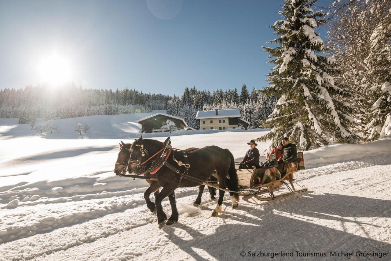 Hideaway Dachstein West By Alps Resorts Sankt Martin am Tennengebirge Dış mekan fotoğraf